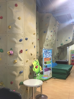 Διευθετήσιμος πλαστικός τοίχος 12m ύψος Eco βράχου παιδικών χαρών φιλικό